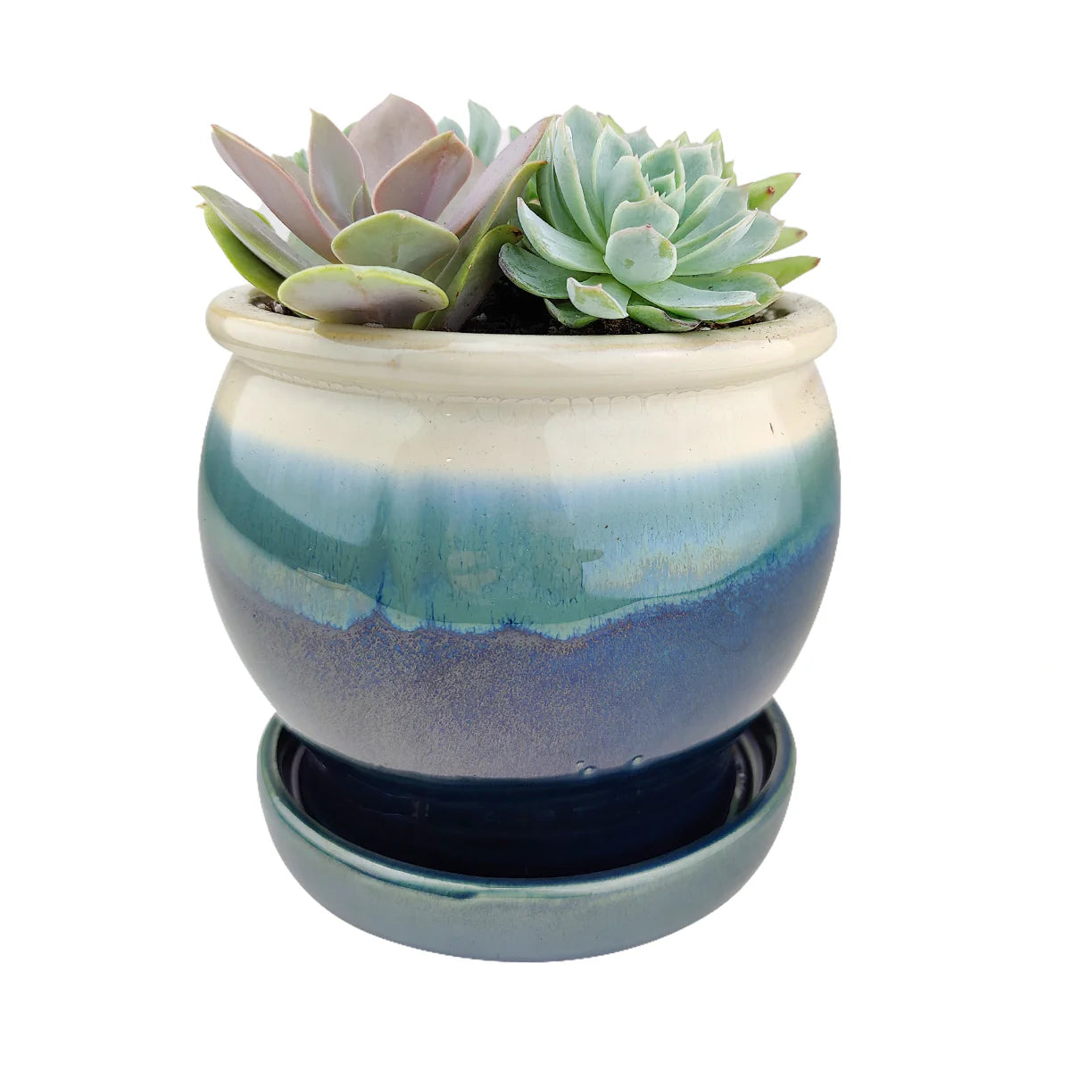 Ceramic Succulent Planter