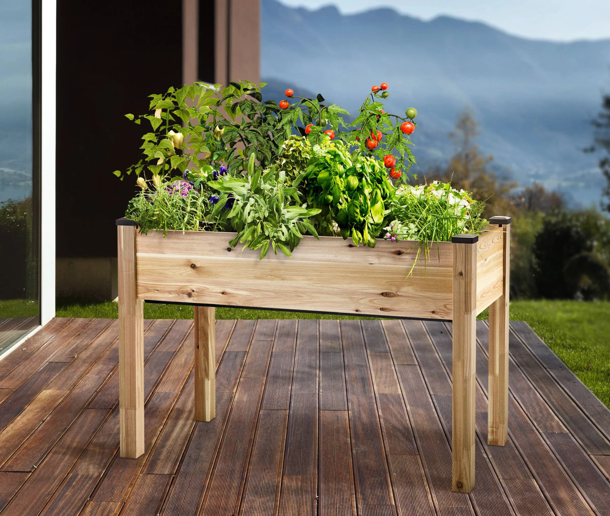 Raised Garden Bed