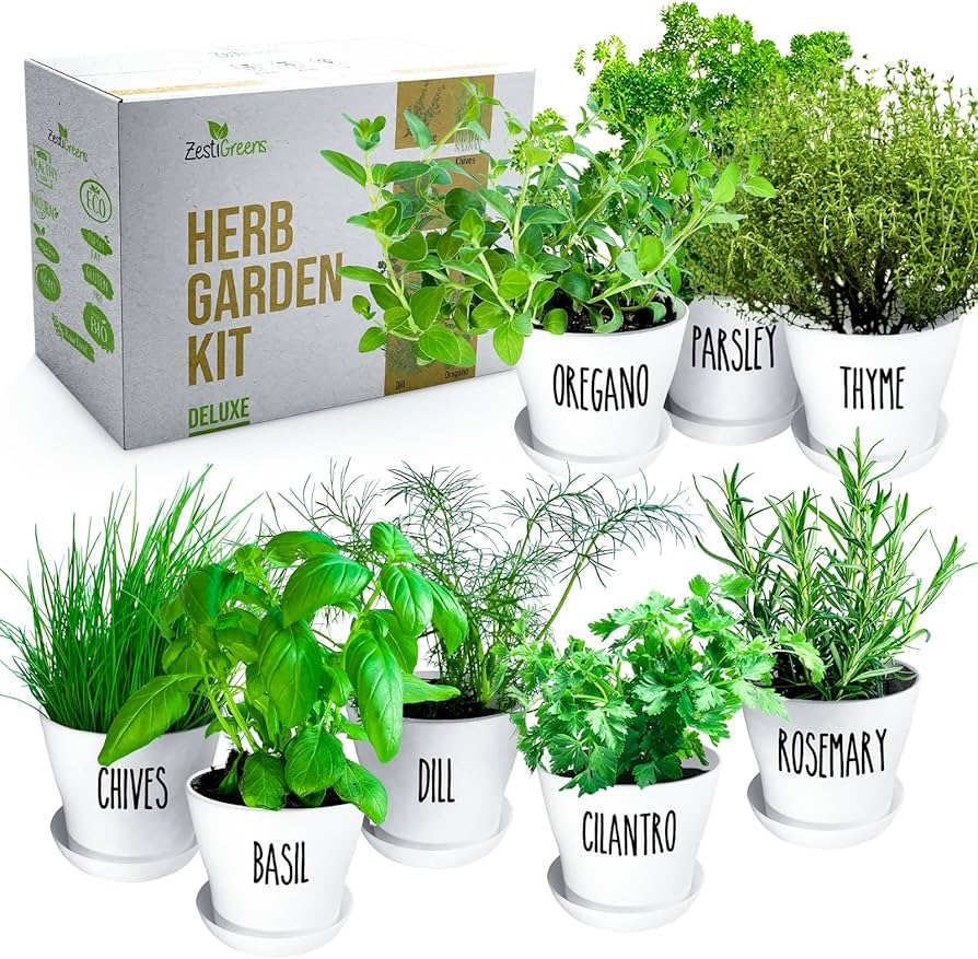Mini Herb Garden Kit